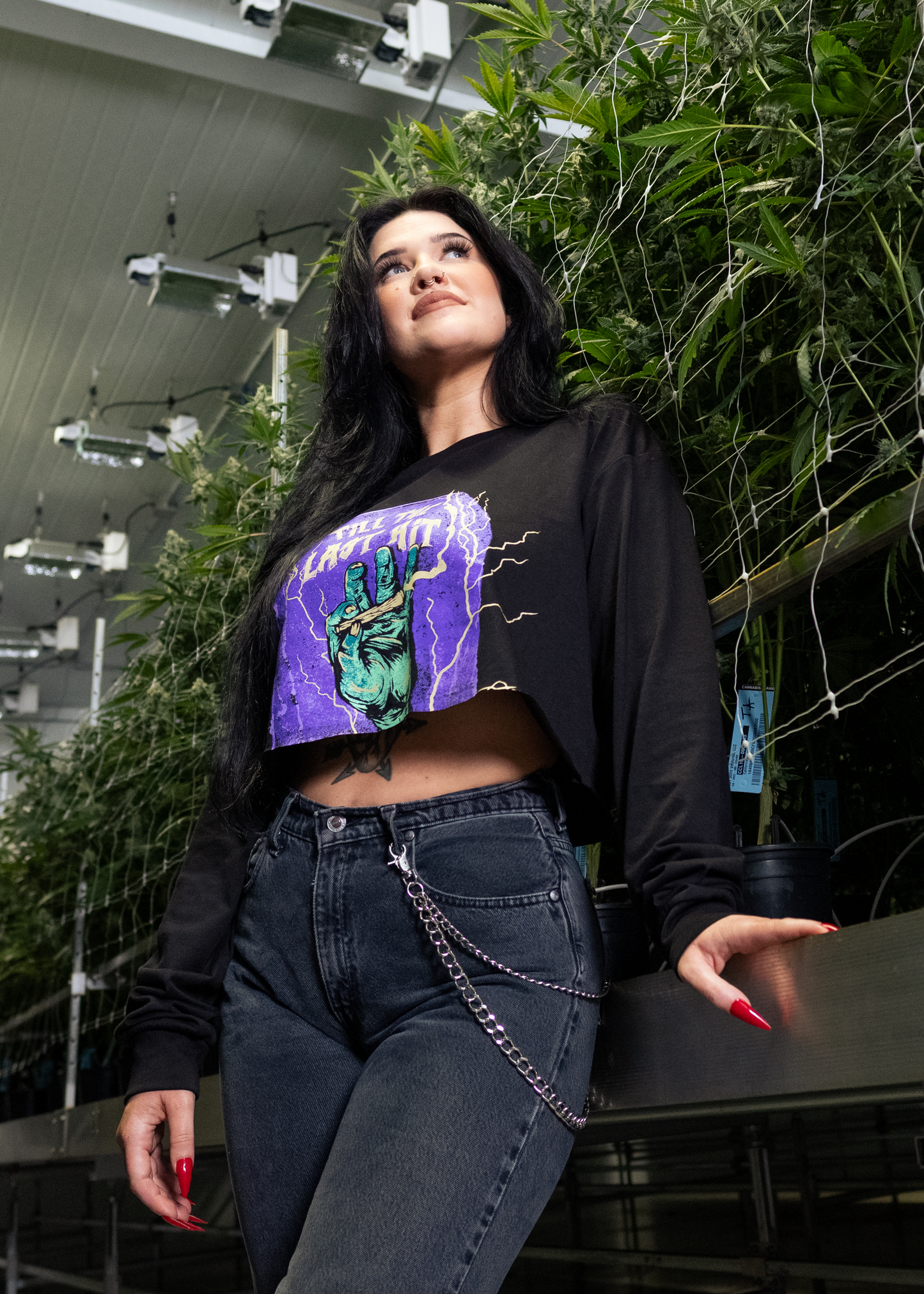 Blueprint Cannabis