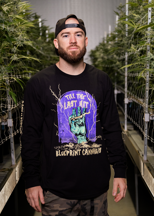 Blueprint Cannabis